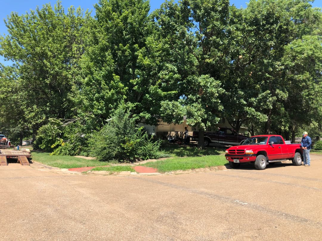 Tree Services
