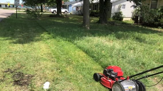 Lawn Work Example