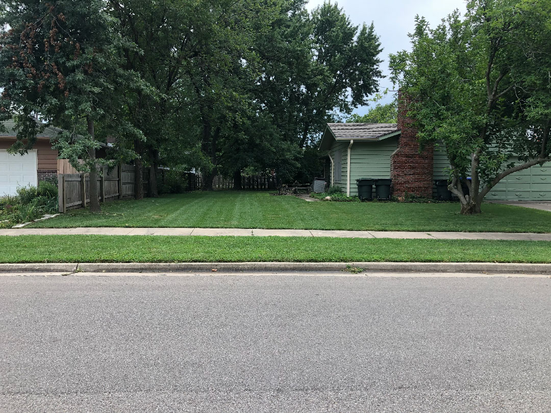 Freshly mowed lawn in the backyard of a house